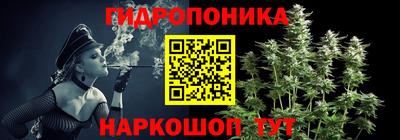 спиды Будённовск