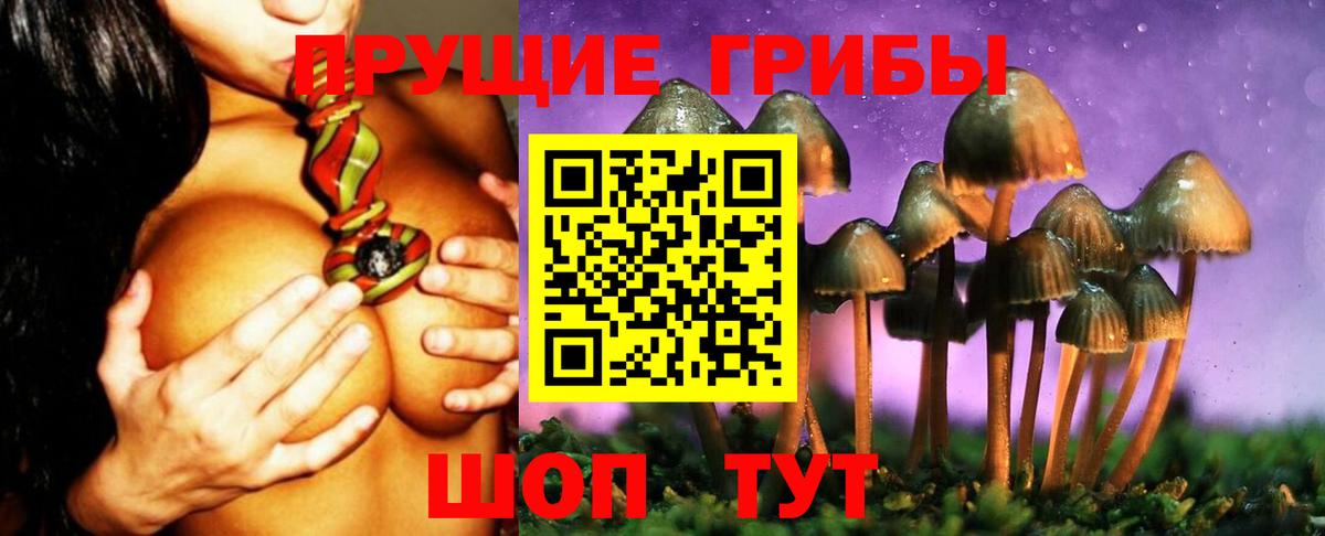 где продают наркотики  Псилоцибиновые грибы прущие грибы  Вход с VPN  Тавда 
