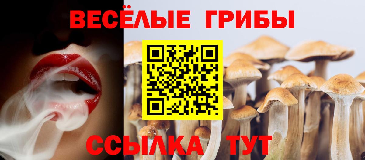 Галлюциногенные грибы Cubensis Тавда